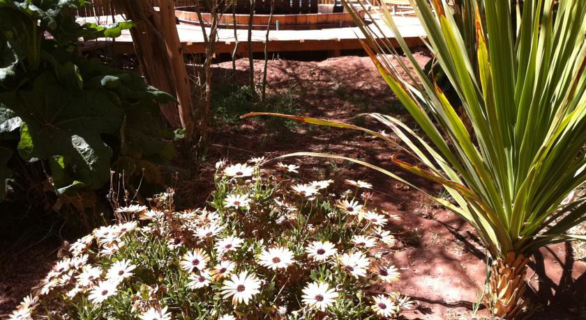 Atacama-Adventure Wellness & Ecolodge San Pedro de Atacama Exterior foto